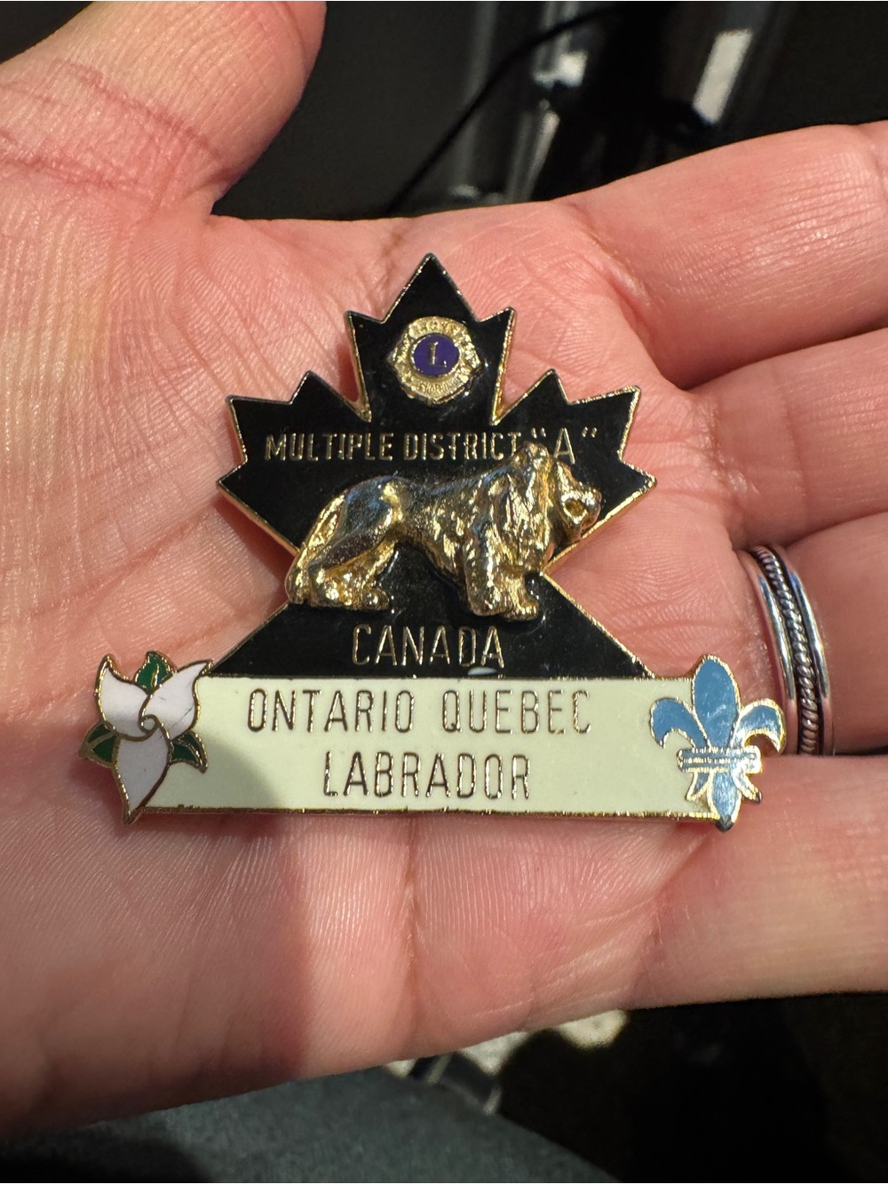 Canada Labrador Multiple District 'A' Maple Leaf Pin - Black & Gold - Picture 2 of 9
